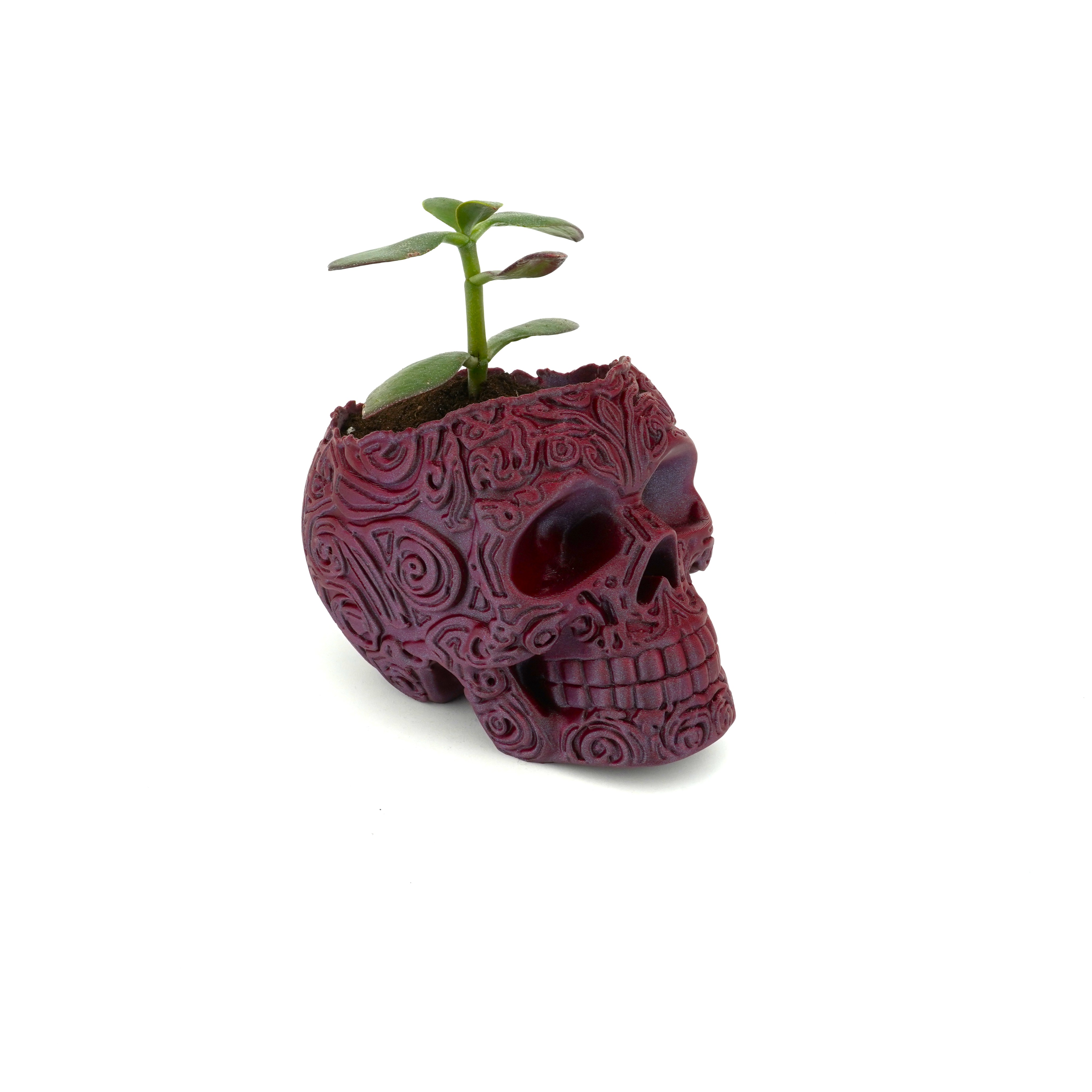 Декор ToysBerry